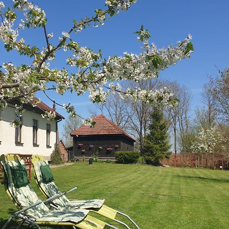 Bed and Breakfast Folwark Goscino-Dwor Экстерьер фото