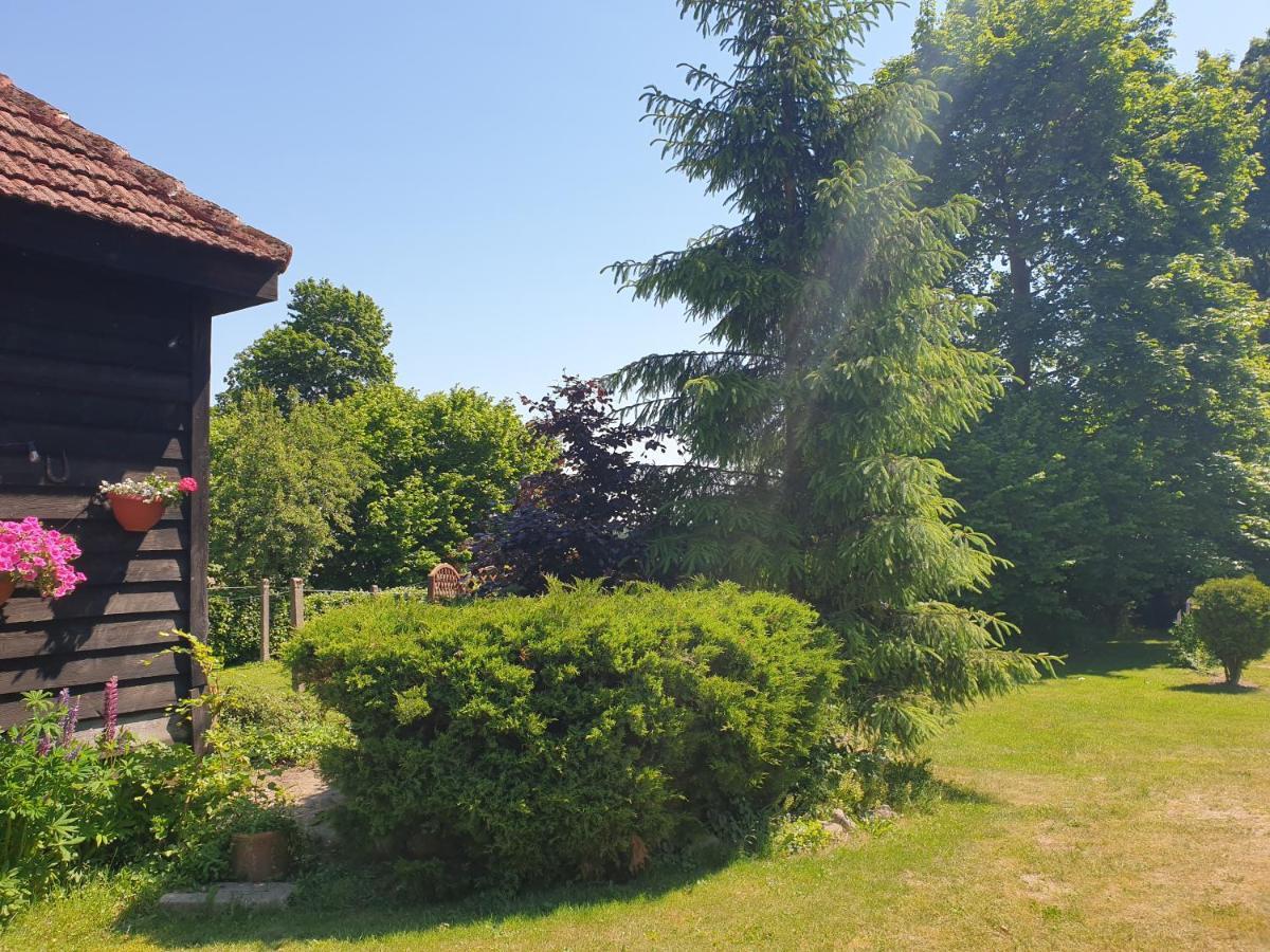 Bed and Breakfast Folwark Goscino-Dwor Экстерьер фото